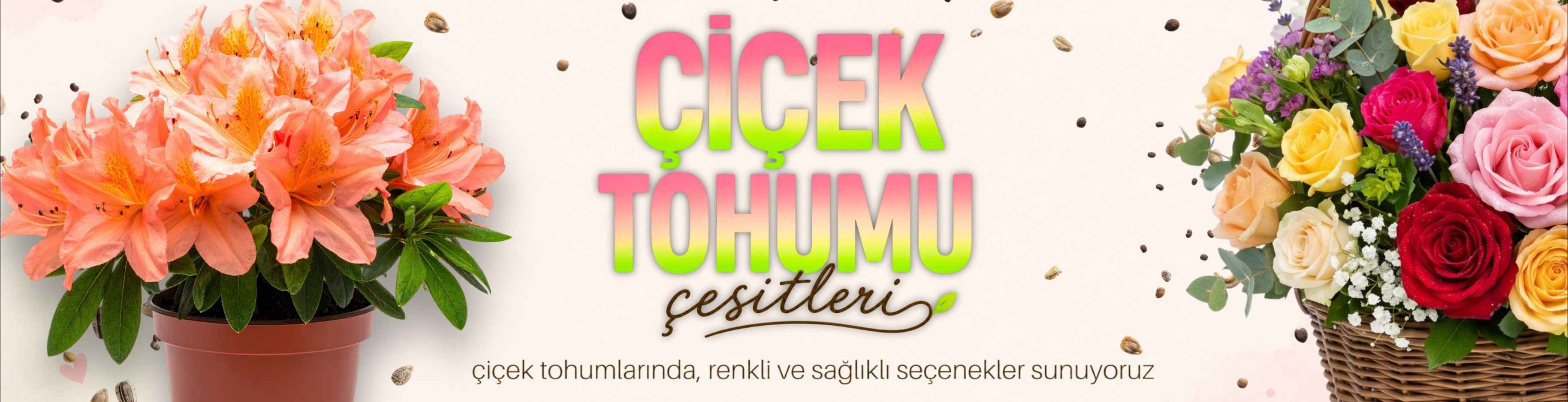 cicek.jpg
