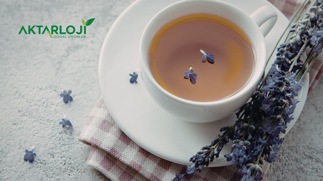 lavanta-bitki-cayi-neye-iyi-gelir-2.jpg