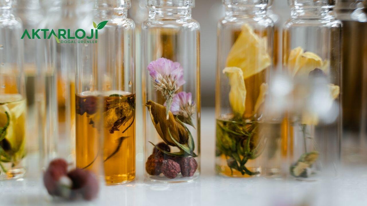Aromatik Bitkiler Hangileri? Aromatik Bitki Çeşitleri