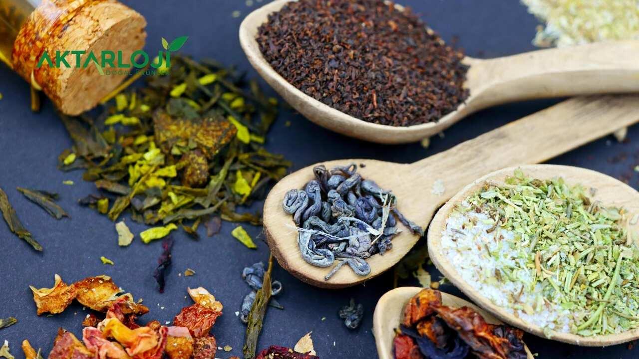 Mide Ağrısına İyi Gelen Bitkiler Hangileri?
