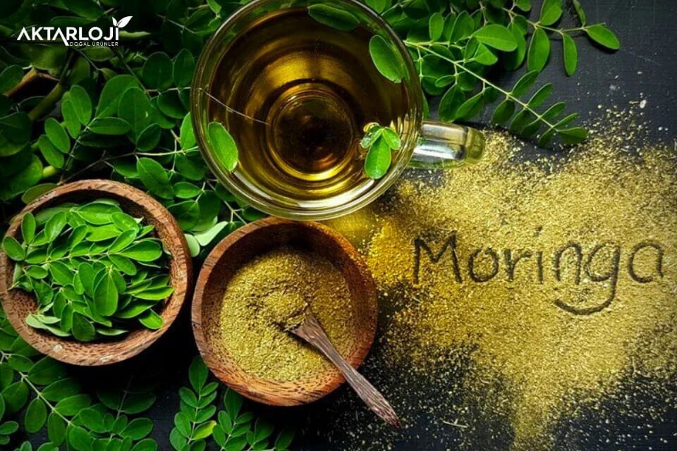Moringa Bitkisi Nedir? Moringa Çayı Faydaları Nelerdir?