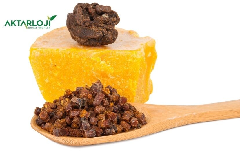 Propolis Nedir, Neye İyi Gelir? Faydaları Neler?