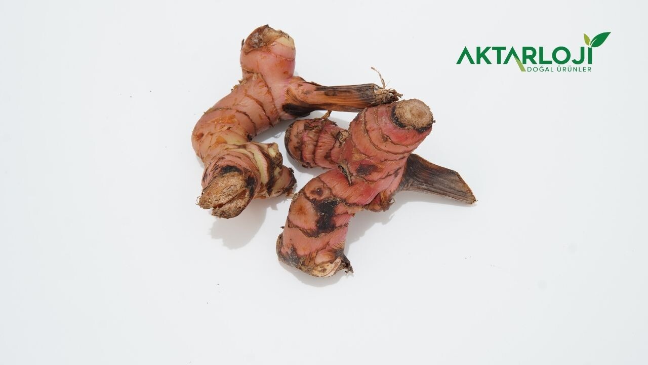 Havlıcan Kökü Ödeme İyi Gelir mi? Havlıcan Ödem için Nasıl Kullanılır?