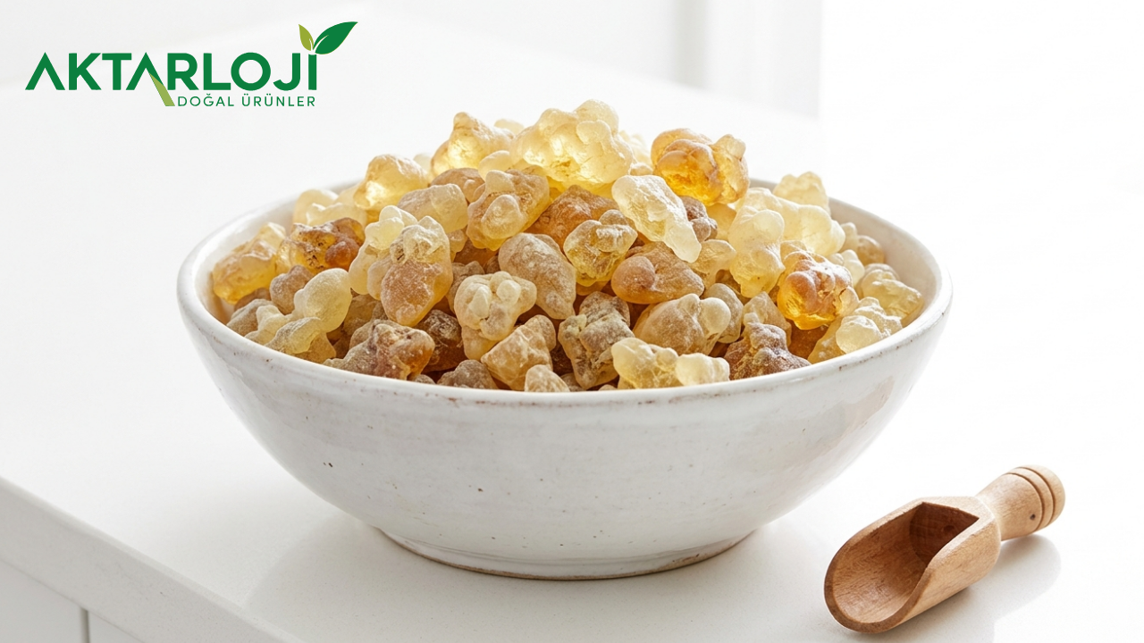 Sandaloz Sakızının Tüm Faydaları