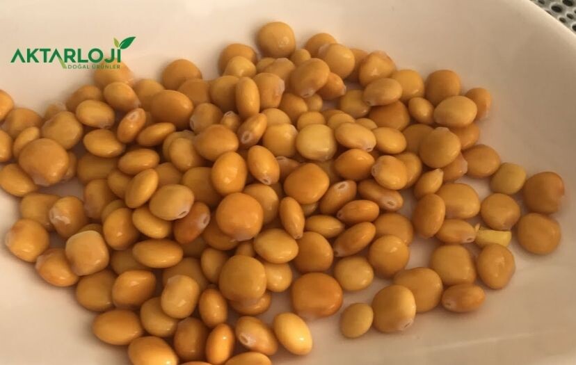 Tirmis Nasıl Yapılır? (Termiye/Acı Bakla)