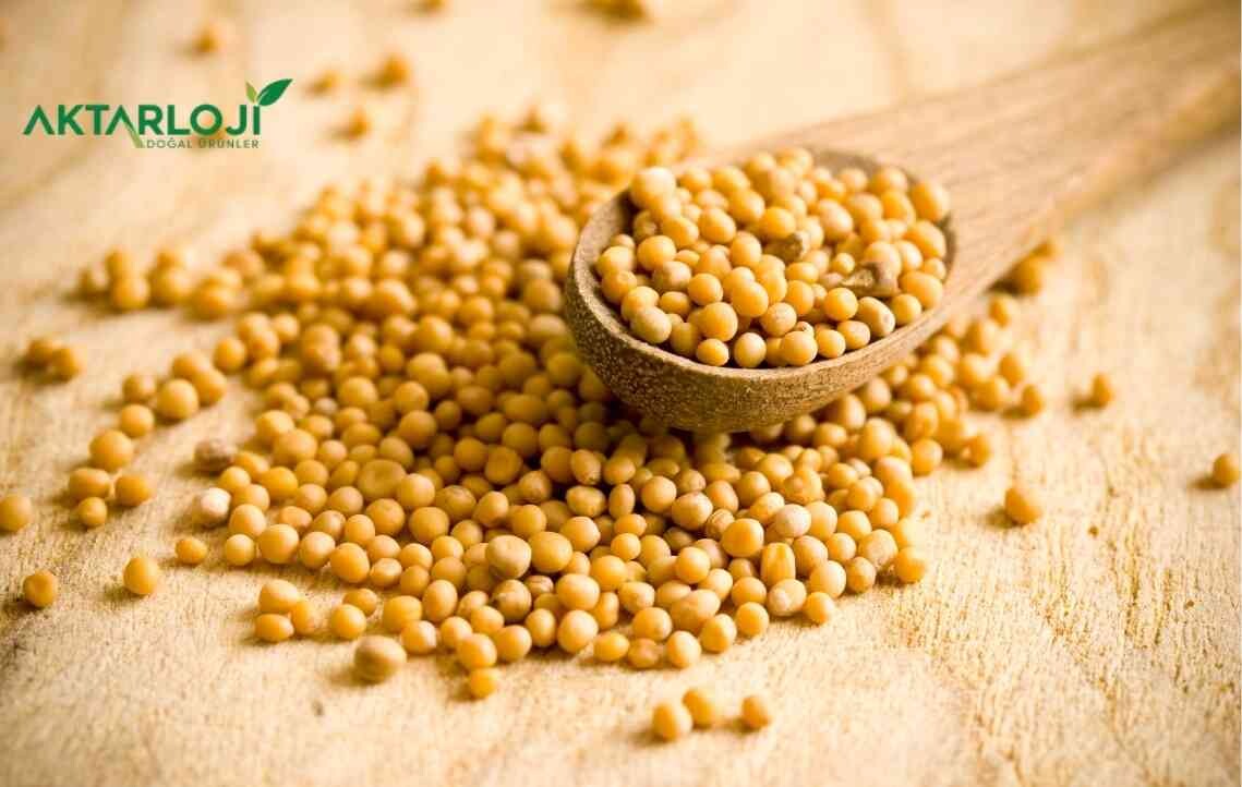 Hardal Tohumu Faydaları Nelerdir? Neye İyi Gelir?