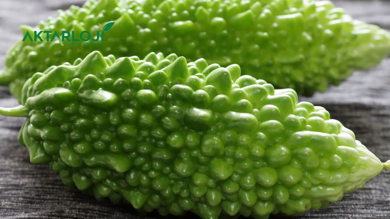 Kudret Narı Mideyi Onarır mı? Kudret Narı Mideye İyi Gelir mi?