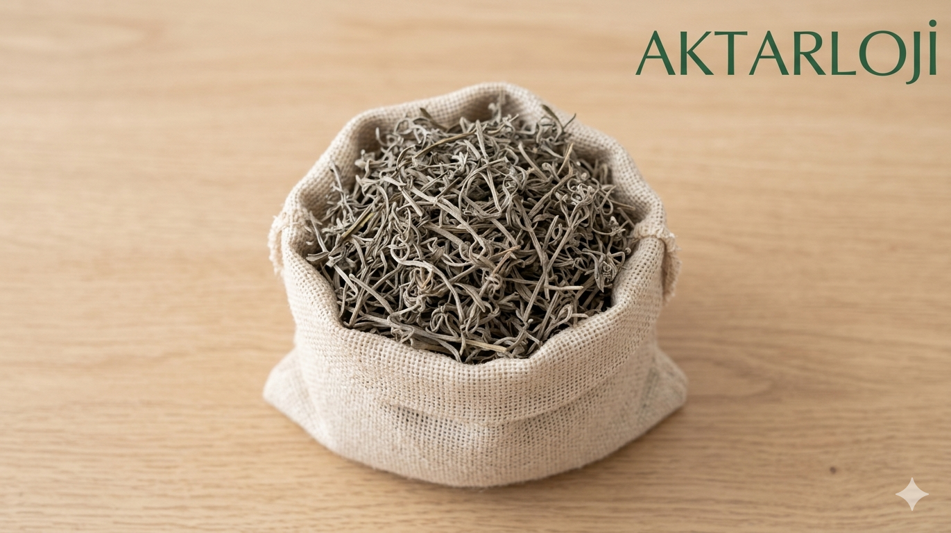 Lenfatik Arınma Ve Doğal Detoks Kaynağı: Yoğurt Otu