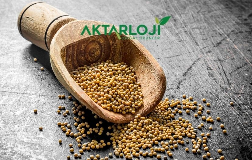 Hardal Otu Neye İyi Gelir? Hardal Otu Faydaları