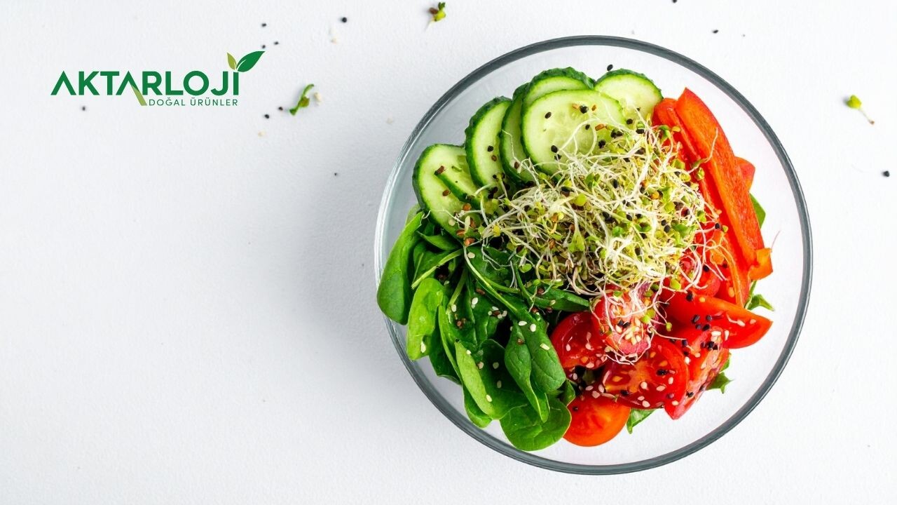 Vegan Ne Demek? Vegan Nedir?