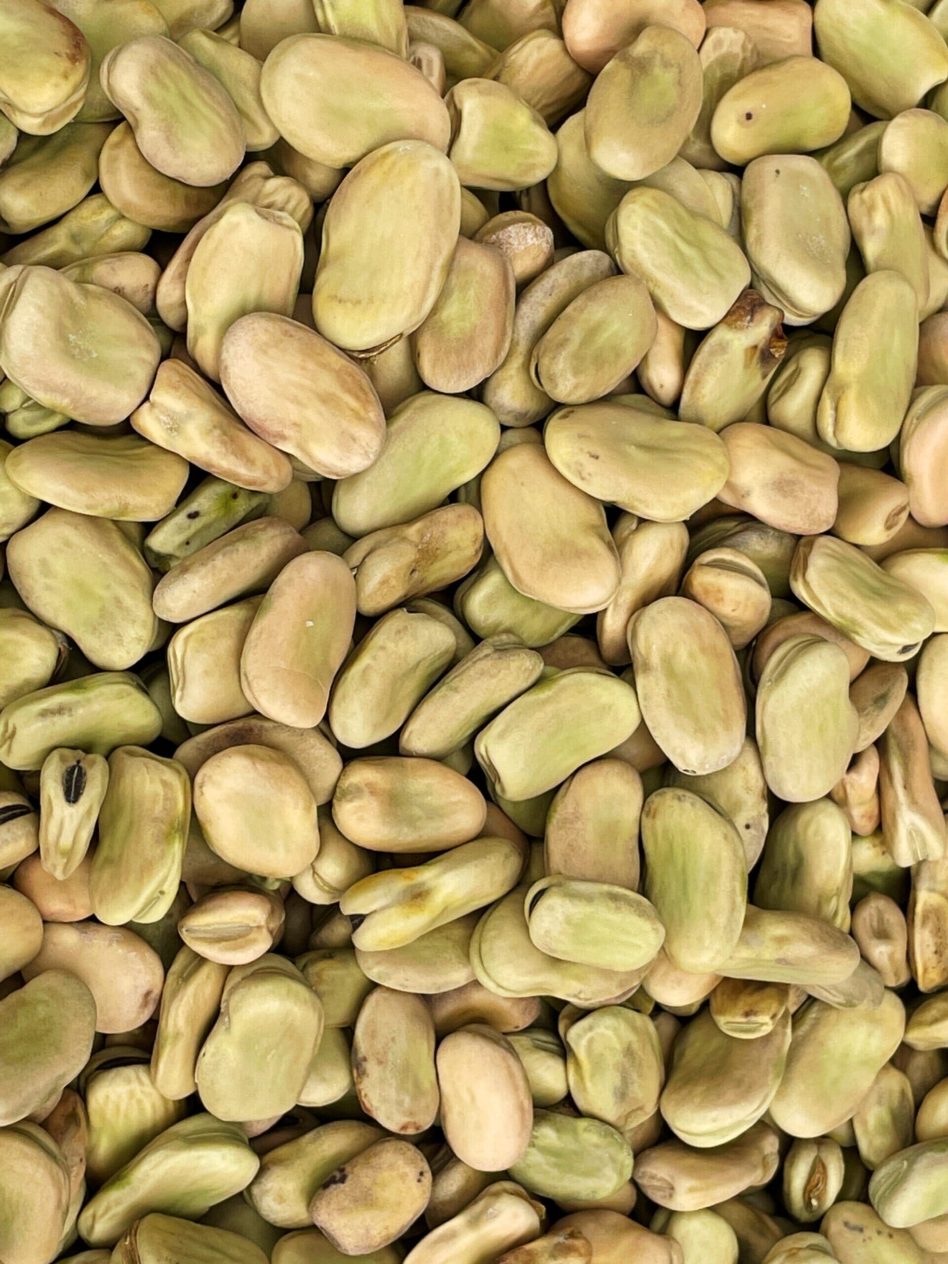 Glutensiz Bakla İçi İle İlgili Her Şey Bu Yazıda 