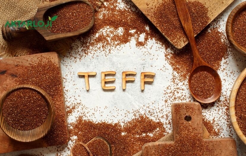 Teff Tohumu Kilo Verdirir mi? Teff Tohumu Zayıflatır mı?