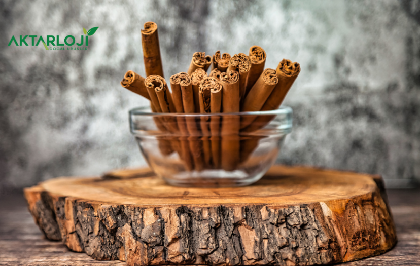 Seylon Tarçın Ne İşe Yarar? Seylon Tarçını Nasıl Tüketilir?