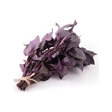 Mor Reyhan /Fesleğen Kurusunun Faydaları 