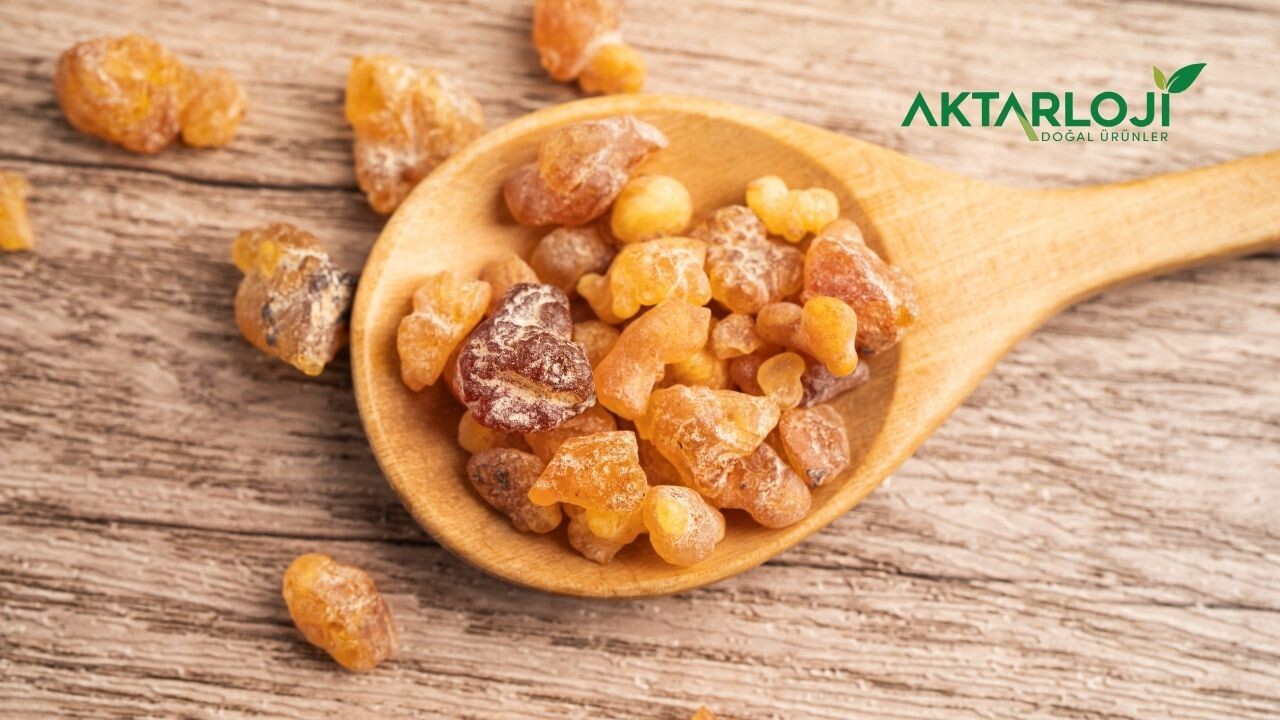 Damla Sakızı Nasıl Tüketilir? Damla Sakızı Nasıl Kullanılır?