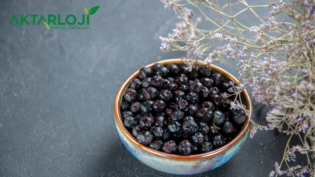 Aronya Kurusu Faydaları Neler? Süper Besin Aronya Hakkında Her Şey