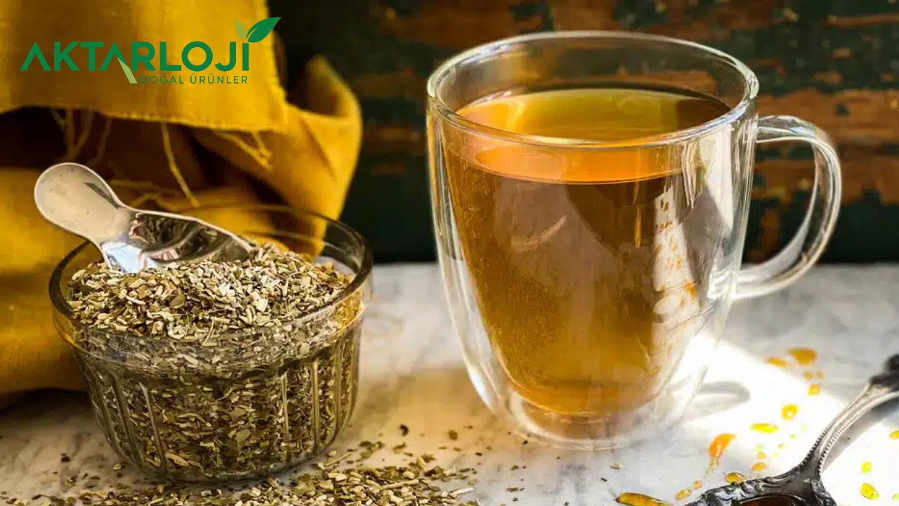 Yağ Yakmak İçin Mate Çayı Kullanımı ve Demleme Yöntemi