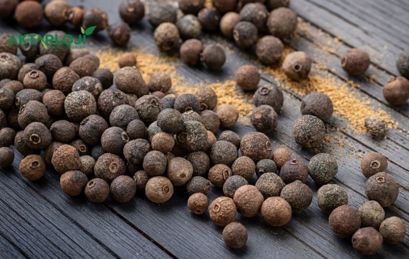 Yenibahar Ne İşe Yarar, Faydaları Nedir?