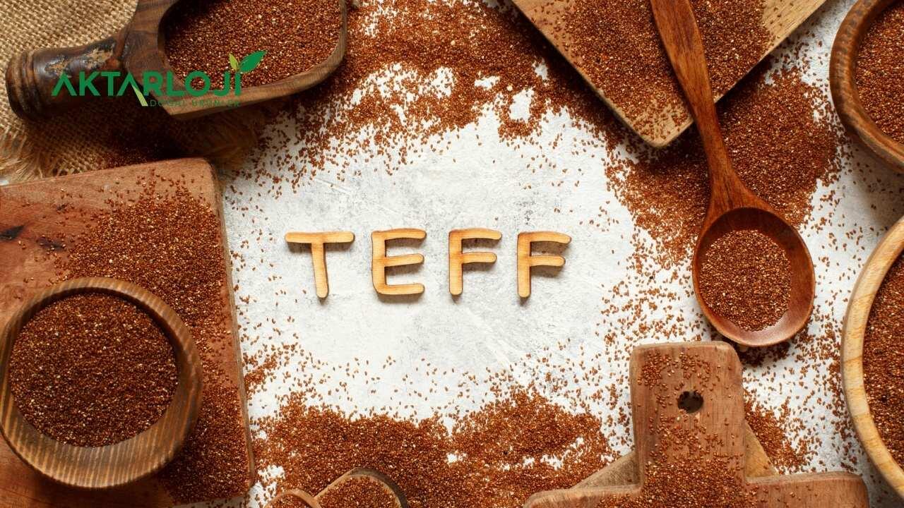 Teff Tohumu Ne İşe Yarar? Teff Tohumu Nasıl Tüketilir?