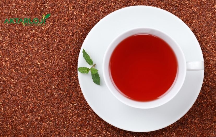 Rooibos Çayı Faydaları Nelerdir? Rooibos Hangi Hastalıklara İyi Gelir?