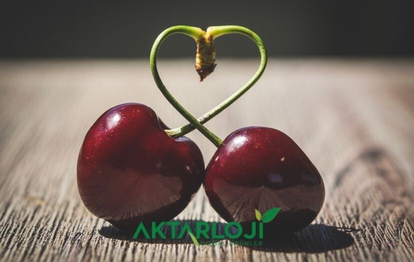 Kiraz Sapı Kilo Verdirir mi? Zayıflatır mı?