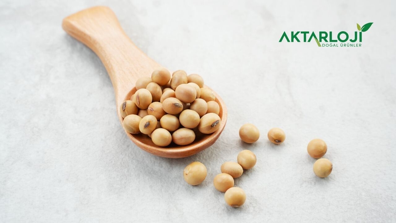 Soya Fasulyesi Nedir? Soya Fasulyesi Hangi Hastalıklara İyi Gelir?