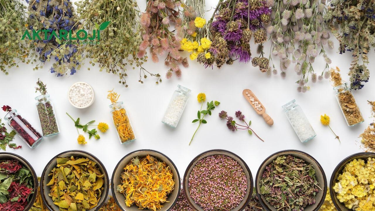 Az Bilinen Şifalı Bitkiler Nelerdir?