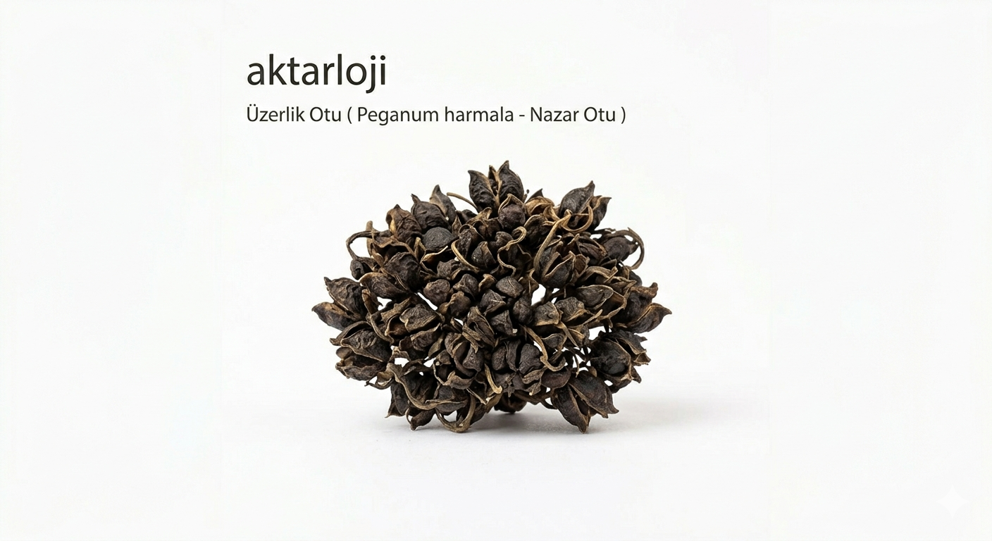 Bedeni Ve Ruhu Arındıran Doğal Bir Koruma Kalkanı: Üzerlik Otu(Nazar Otu)