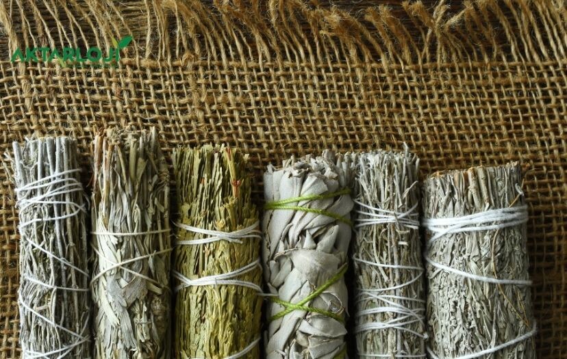 Adaçayı Tansiyona İyi Gelir Mi?