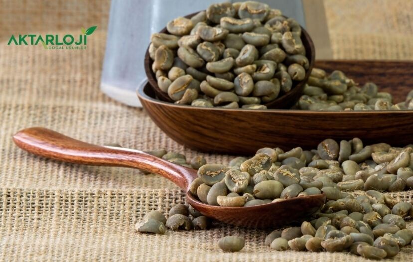 Yeşil Kahvenin Özellikleri Nelerdir?