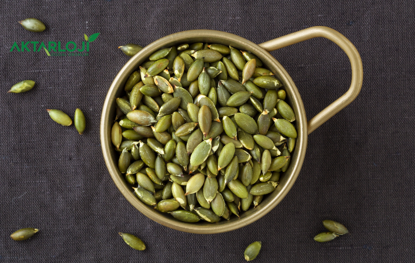 Çiğ Kabak Çekirdeği Günlük Ne Kadar Tüketilmeli?