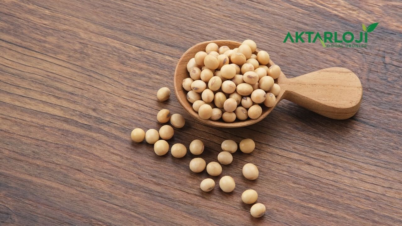 Soya Fasulyesi Nerelerde Kullanılır? Soya Fasulyesi Kullanım Alanları Nelerdir?