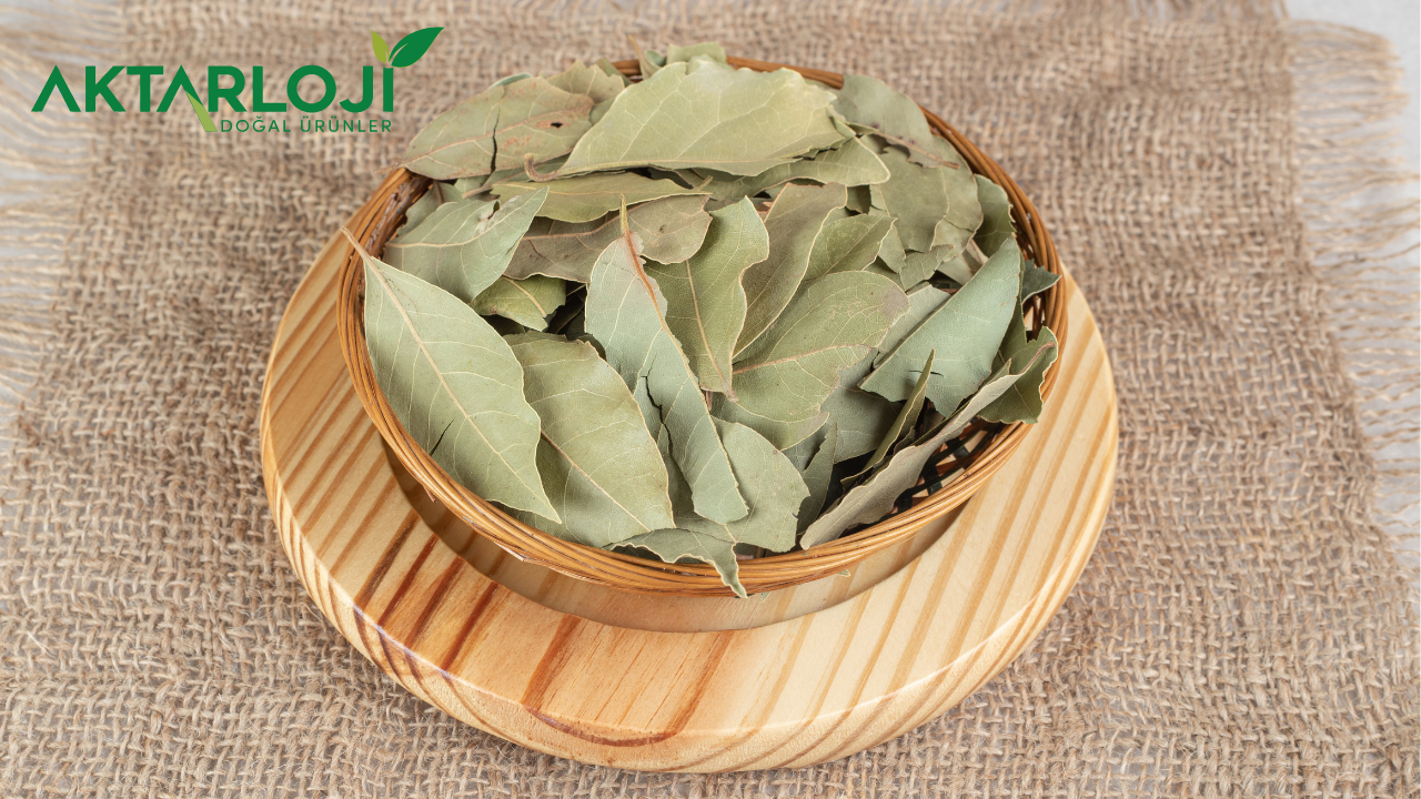 Topuk Dikeni İçin Defne Yaprağı