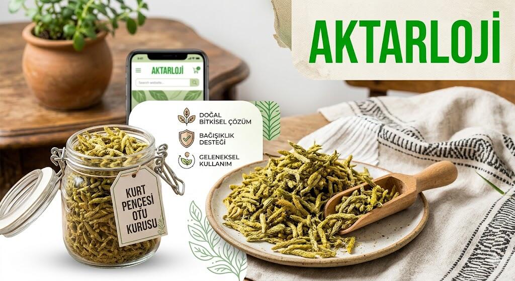 Kurt Pençesi Otu ile Eklem Ağrılarınız Son Bulsun