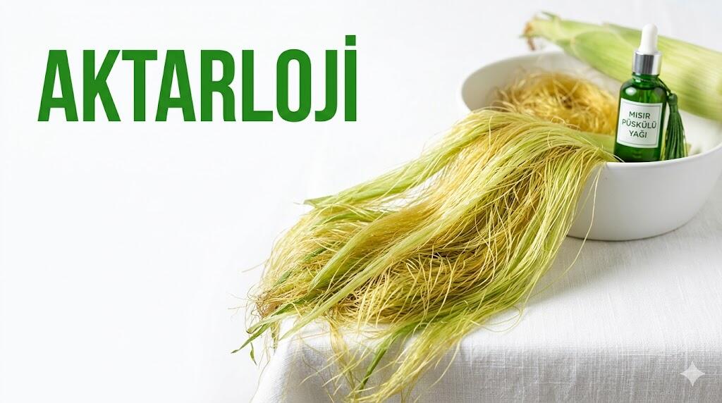 Mısır Püskülünün Şifalı Dünyası ve Muhteşem Tarifler