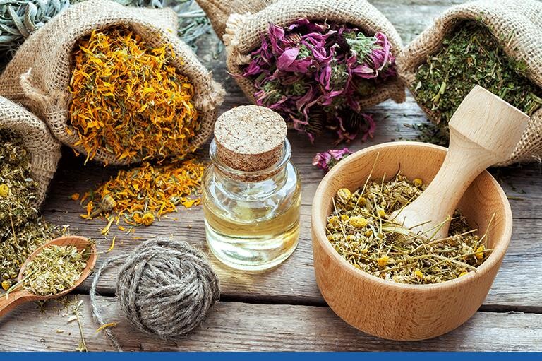 Şifalı Bitkiler Hakkında Merak Edilenler 