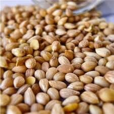 Dünyanın En Hoş Kokulu Bitkilerinden Mahlep Hakkında