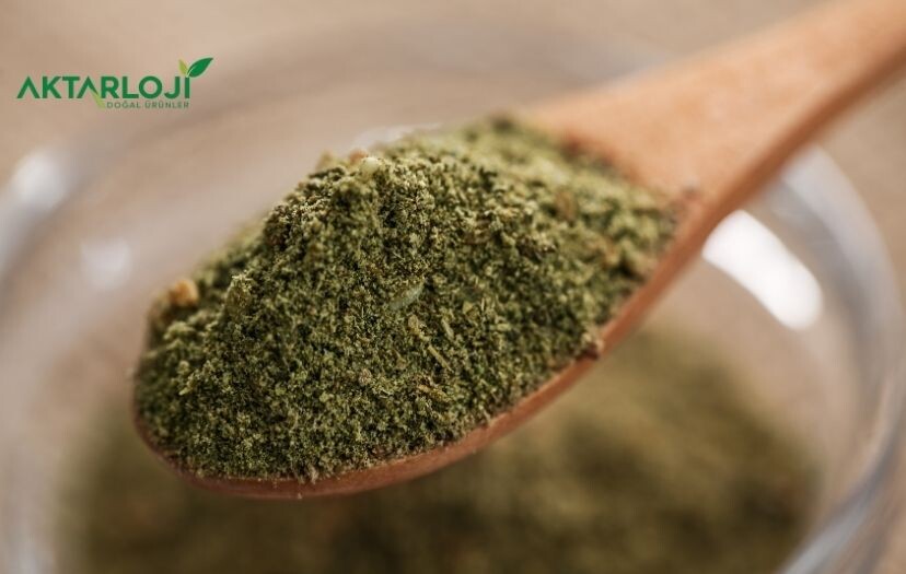 Zahter Faydaları Nelerdir? Zahter Neye İyi Gelir?