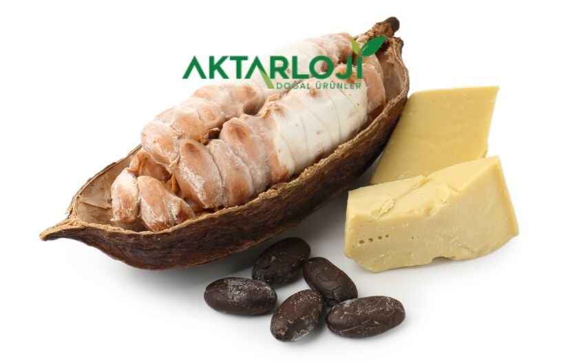 Kakao Yağı Faydaları Nelerdir? Kakao Yağının Cilde, Saçlara Faydası