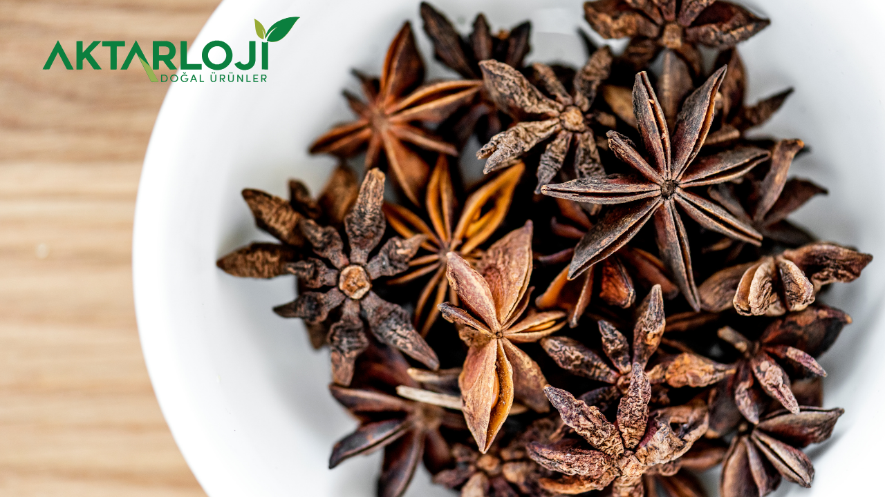 Yıldız Anason Faydaları Nelerdir? Neye İyi Gelir?