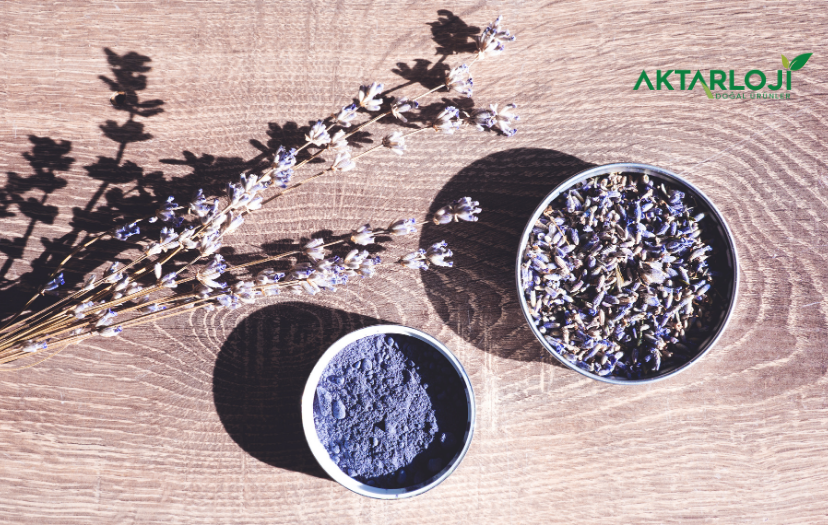 Lavanta Çiçeği Tozu Hangi Hastalıklara İyi Gelir?