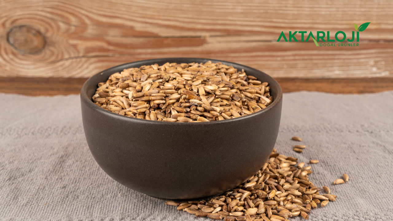 Deve Dikeni Tohumu Hangi Hastalıklara İyi Gelir? Deve Dikeni Faydası Nedir?