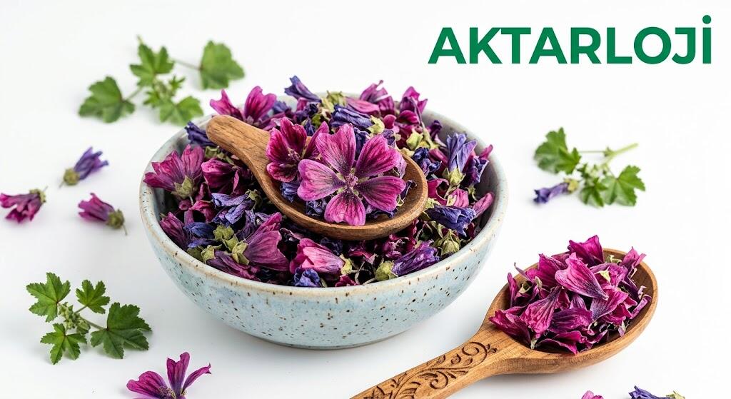 Ebe Gümeci Otunun Cilde Dost Yapısı