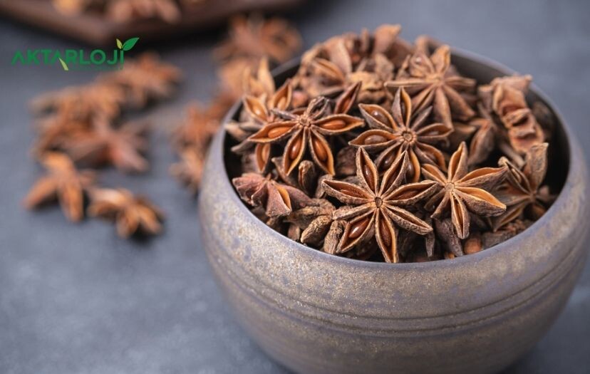 Yıldız Anason Nedir, Nasıl Kullanılır?