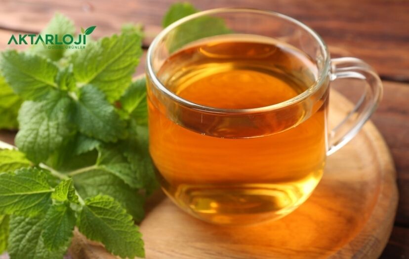 Oğul Otu Nedir, Ne İşe Yarar?