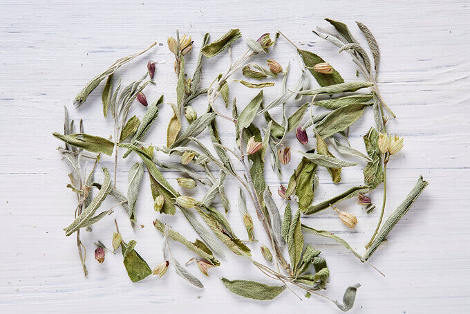 Soğuk Algınlığına İyi Gelen Şifalı Bitkiler 