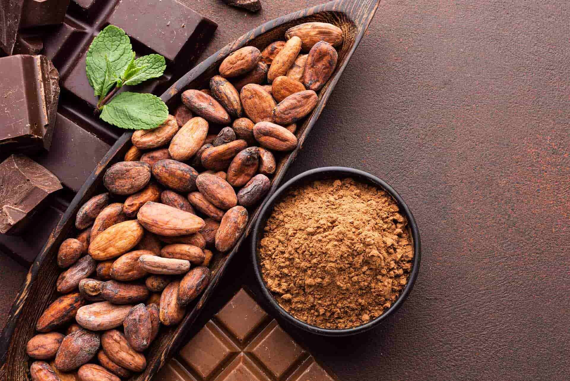 Kakao Çekirdeği Kullanım Alanları Nerelerdir?