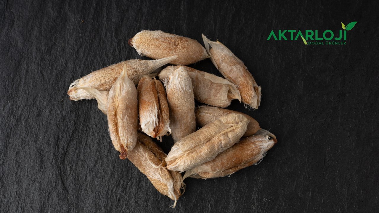 Hurma Çekirdeği Ne İşe Yarar? Hurma Çekirdeği Faydaları Nelerdir?