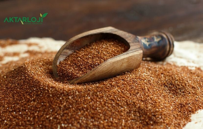 Teff Tohumu Nedir? Teff Tohumu Faydaları