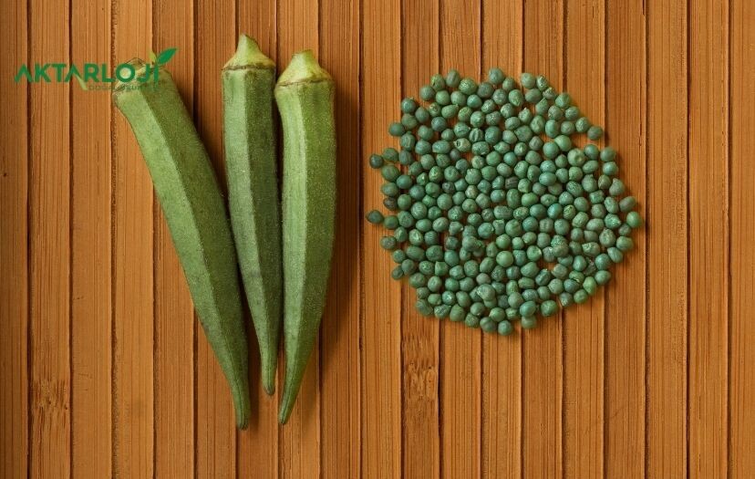 Bamya Tohumu Tansiyona İyi Gelir mi? Tansiyon için Faydalı mı?